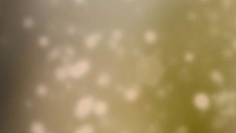 Crédito: Myriam Zilles /Pixabay