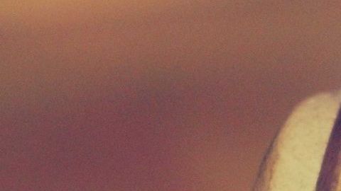 El color, el sabor y el aroma de la miel está determinado por el tipo de flor que visitan las abejas.