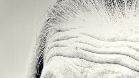 mujer-viejita-Free-Photos en Pixabay