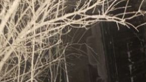 Narcos del Cártel del Noreste vuelcan su troca tras persecución.