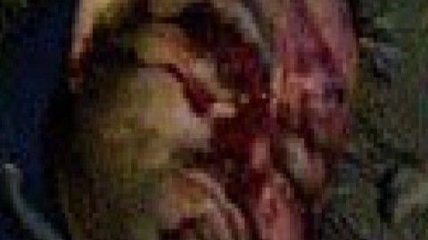 Narcovenganza en zona que se pelean los Chapitos y el Chapo Isidro