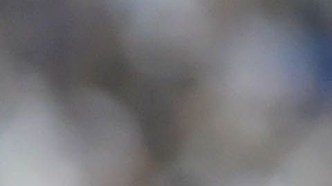 Nico Sánchez, defensa central de los Rayados de Monterrey.