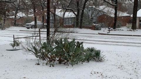 La nieve llegó.