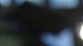 Operador de la Bolsa de Valores de Nueva York, tras una sesión con muchas pérdidas.