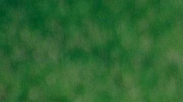 Este es el primer desarrollo que cumple con los requisitos de la Ordenanza de vivienda asequible en el área de Woodlawn.