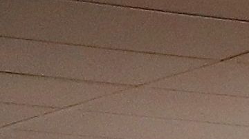 Seis exdirectivos de Osasuna, tres exjugadores del Betis y dos agentes inmobiliarios acusados en el caso.