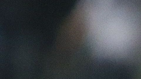 Dorlan Pabón, referente de los Rayados de Monterrey desde 2014.