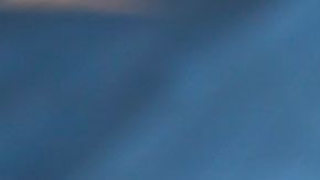 El truco fue dado a conocer por un supuesto empleado en la plataforma de Reddit.