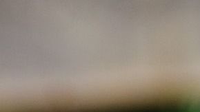 Gunther IV es un perro de raza pastor alemán como el de la fotografía.