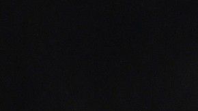 “No sé si estoy drogado o sobrio”, dijo Pogba