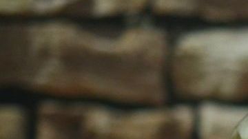 Grillo´s Pickles se destacan por ser un producto orgánico, vegano y sin aditivos.