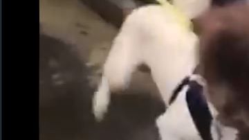 El encuentro fue sumamente emotivo.