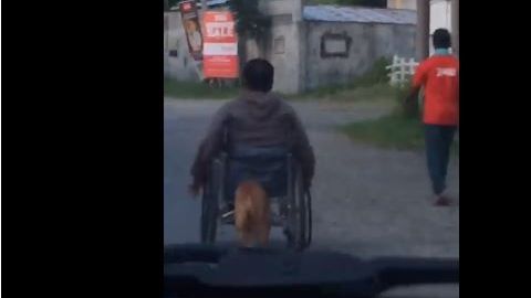 Más lealtad y amor, imposible.