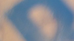 pescado Salmón- food