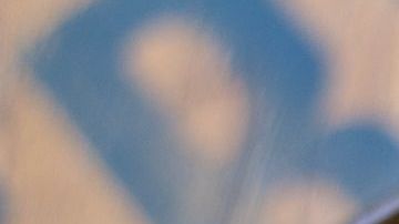 pescado Salmón- food