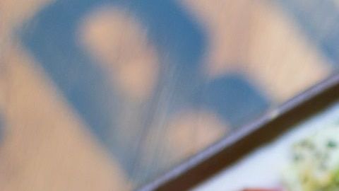 pescado Salmón- food