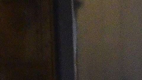 Claudia Álvarez y Billy Rovzar