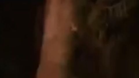 Tragedia en Upper Brookville, NY