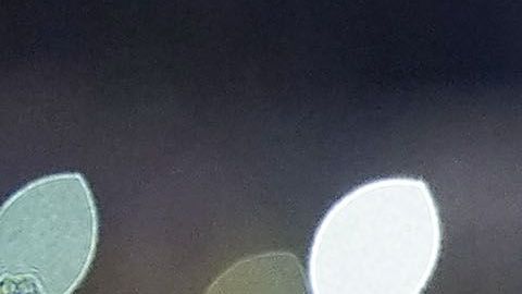 Rodolfo Pizarro, figura de los Rayados de Monterrey, solo buscaría salir a Europa.