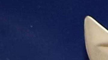 José Manuel Figueroa