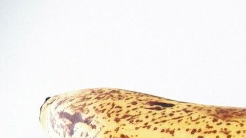 Plátano maduro-PublicDomainPictures en Pixabay