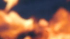 Aplica estos increíbles tips para cocinar el pollo más jugoso.