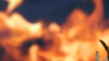 Aplica estos increíbles tips para cocinar el pollo más jugoso.