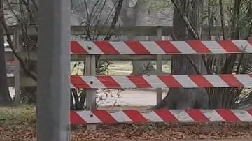 Lugar donde ocurrió la violación.