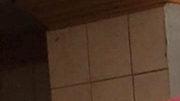 Por ahora, Rocío Rebollar vive en Tijuana en casa de una media hermana.