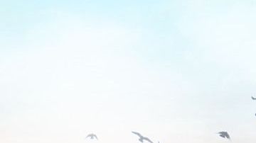 El proyecto ganador sobre el tema de casas en el desierto de House Challenge 2019.