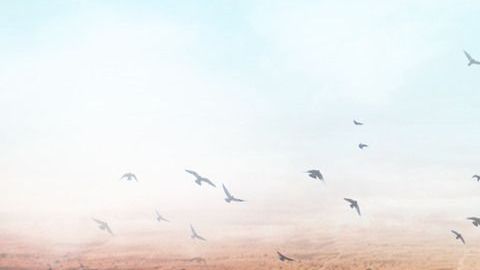 El proyecto ganador sobre el tema de casas en el desierto de House Challenge 2019.