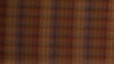 Los pug se han vuelto muy populares en los últimos años.