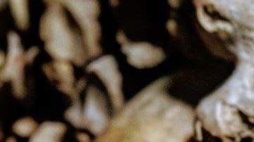 Tanatoturismo, una nueva y extraña forma de recorrer el mundo / Créditos: Fotógrafo Yann Schaub vía Unsplash