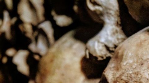 Tanatoturismo, una nueva y extraña forma de recorrer el mundo / Créditos: Fotógrafo Yann Schaub vía Unsplash