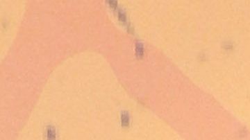 Kobe Bryant junto a su esposa Vanessa y sus hijas.