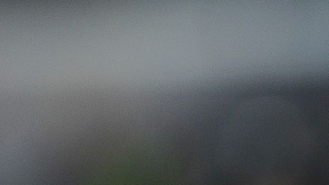 Tigres tendrán que enfrentar doble torneo, al jugar la Liga MX y la Concachampions.