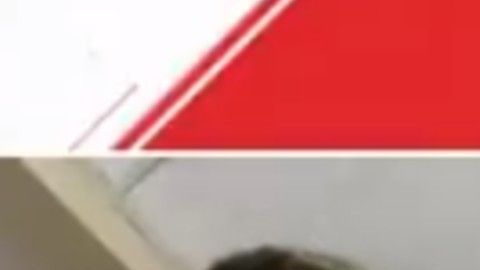 También se hicieron de Dylan Nealis.