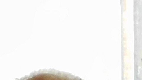 Roberto Valdovinos organizó eventos sobre inmigración en la Universidad de Columbia.