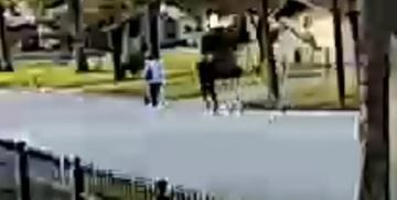 El incidente ocurrió el pasado 25 noviembre del 2019 .