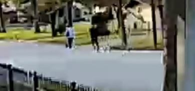 El incidente ocurrió el pasado 25 noviembre del 2019 .