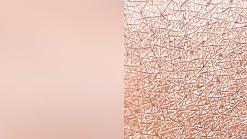 Los Rolex son de los relojes más solicitados por los clientes, y con el tiempo podrían aumentar de valor considerablemente.