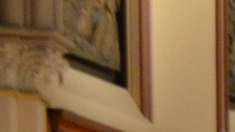 Una misa funeral se realizó en honor de Luis Rossi en la Catedral del Santo Nombre en Chicago. (Belhú Sanabria / La Raza)