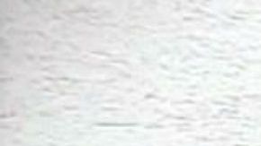 Sandra Ávila Beltrán alias la Reina del Pacifico