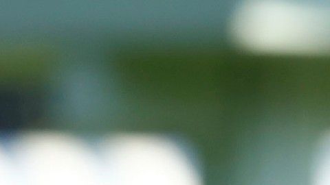 El Preolímpico se llevará a cabo del 20 de marzo al 1 de abril en Guadalajara.