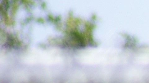 Agentes del SWAT rodean la zona de la escuela North Park.