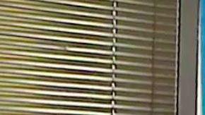 Radio Migrante en acción.