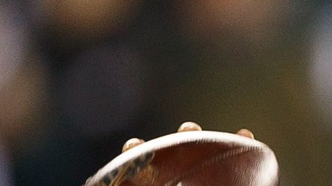 Philadelphia Eagles se enfrentará en la ronda divisional contra Green Bay Packer.