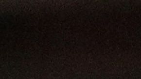 Buenos compañeros dentro y fuera del campo de juego.