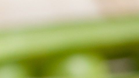 shutterstock_100573327