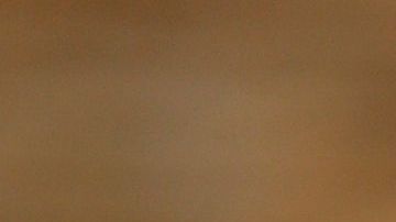 shutterstock_1007300182